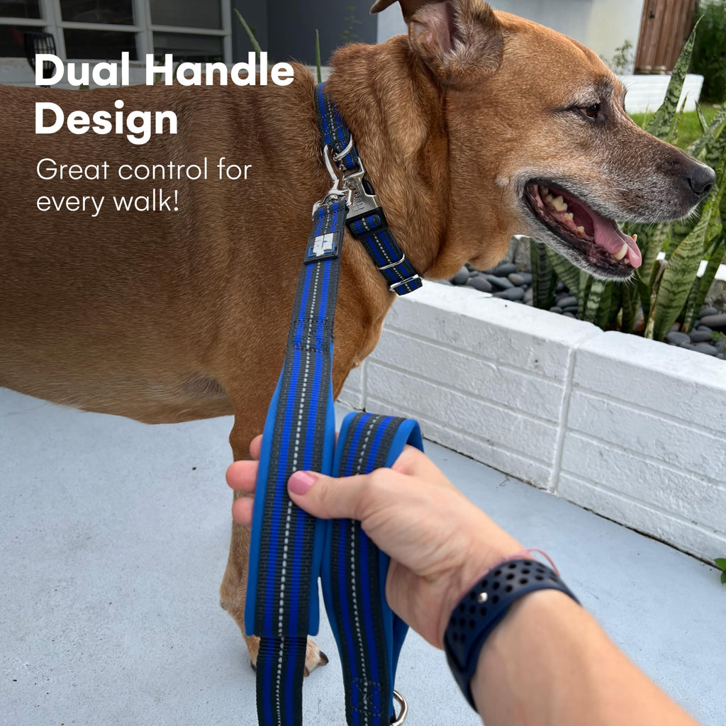 RhinoGrip Aqua: Double Handle Reflective Dog Leash -  by Handbags Specialist Headquarter | Available at Handbags Specialist Headquarter