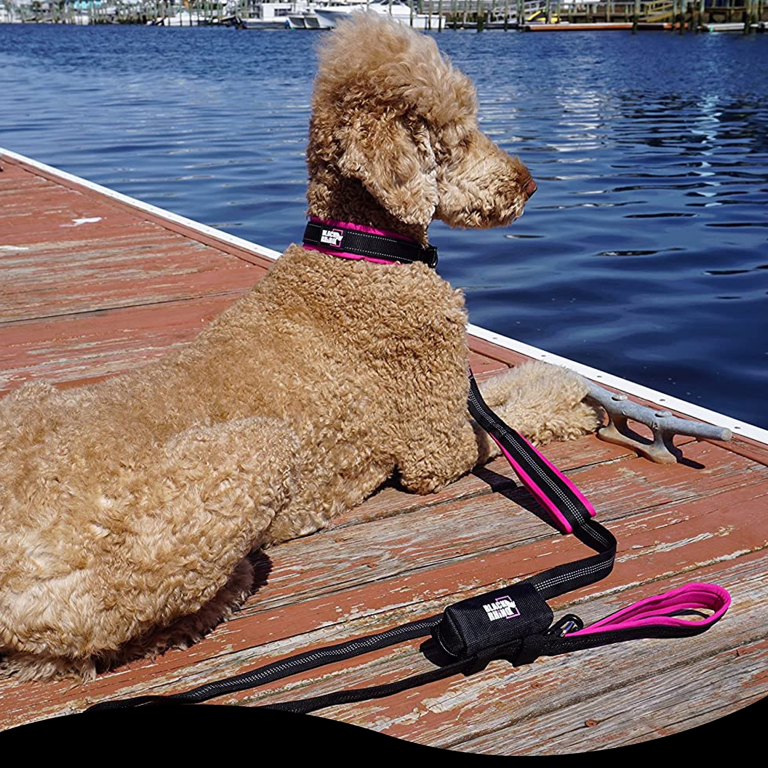 RhinoGrip Aqua: Double Handle Reflective Dog Leash -  by Handbags Specialist Headquarter | Available at Handbags Specialist Headquarter