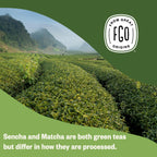 ElderZen Organic Tea - Caffeine-Free Eco Bags -  by Handbags Specialist Headquarter | Available at Handbags Specialist Headquarter