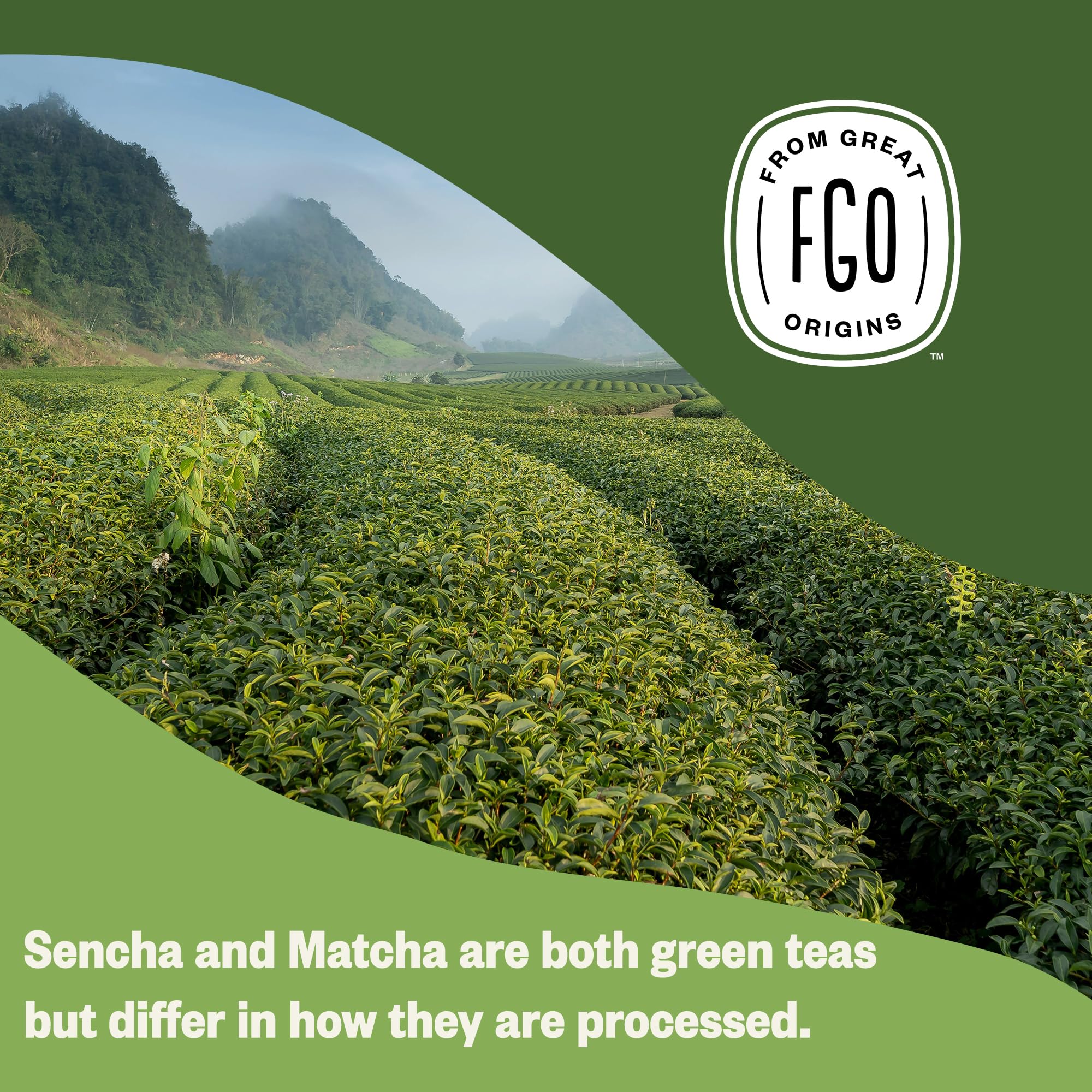 ElderZen Organic Tea - Caffeine-Free Eco Bags -  by Handbags Specialist Headquarter | Available at Handbags Specialist Headquarter