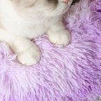 PawCozy Nest: Plush Anti-Anxiety Pet Bed, Light Grey -  by Handbags Specialist Headquarter | Available at Handbags Specialist Headquarter