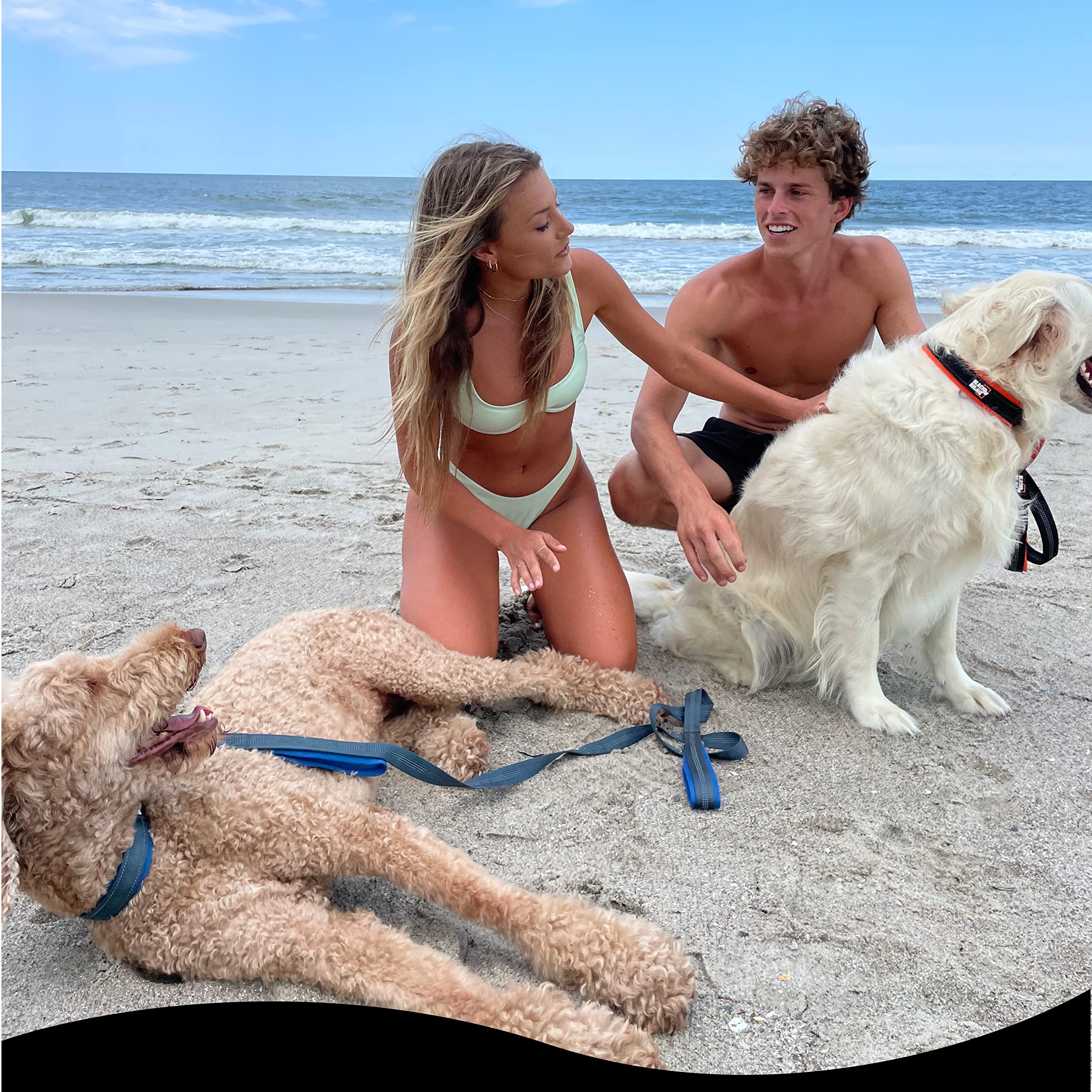 RhinoGrip Aqua: Double Handle Reflective Dog Leash -  by Handbags Specialist Headquarter | Available at Handbags Specialist Headquarter