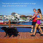 RhinoGrip Aqua: Double Handle Reflective Dog Leash -  by Handbags Specialist Headquarter | Available at Handbags Specialist Headquarter