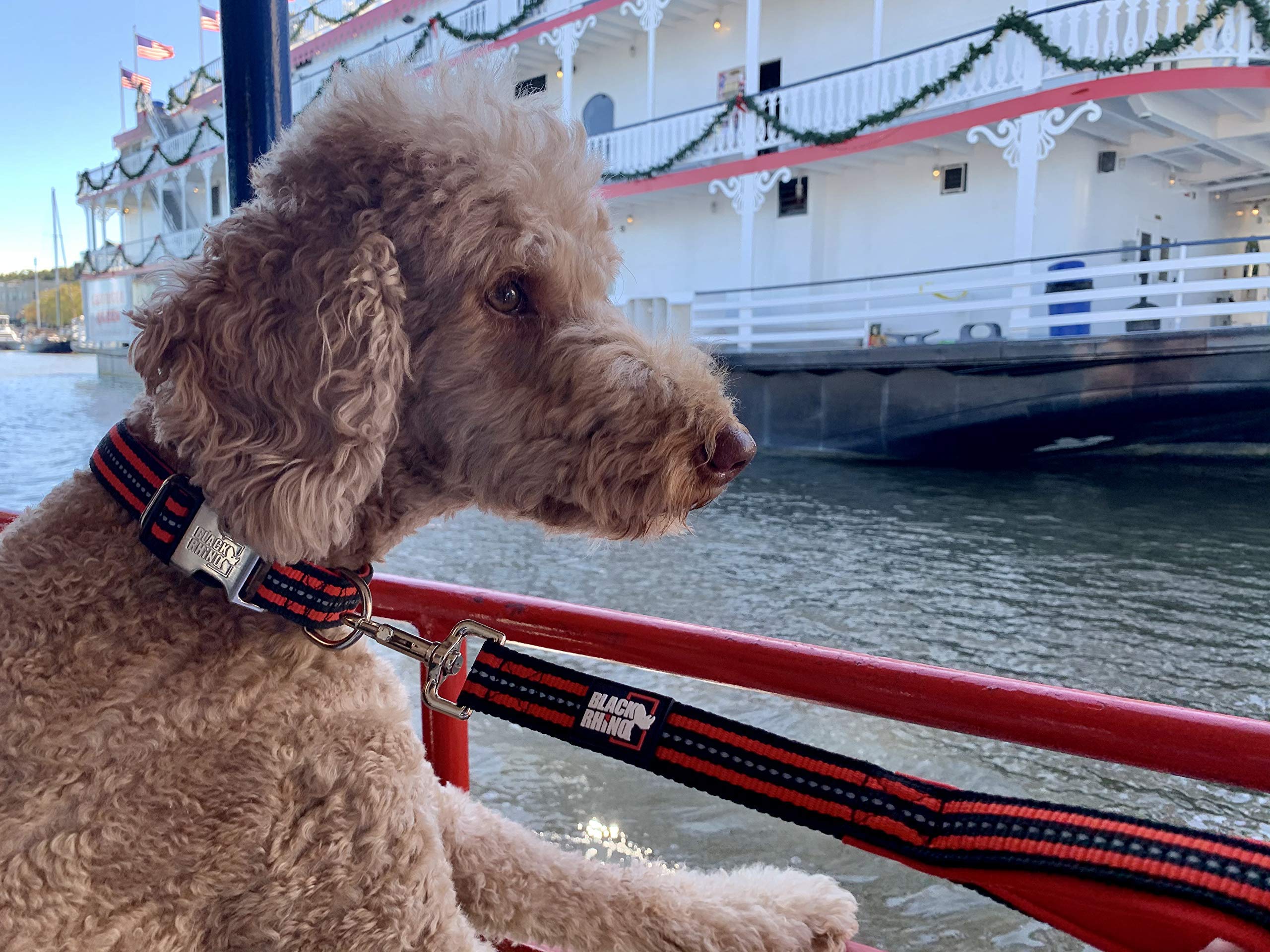 RhinoGrip Aqua: Double Handle Reflective Dog Leash -  by Handbags Specialist Headquarter | Available at Handbags Specialist Headquarter