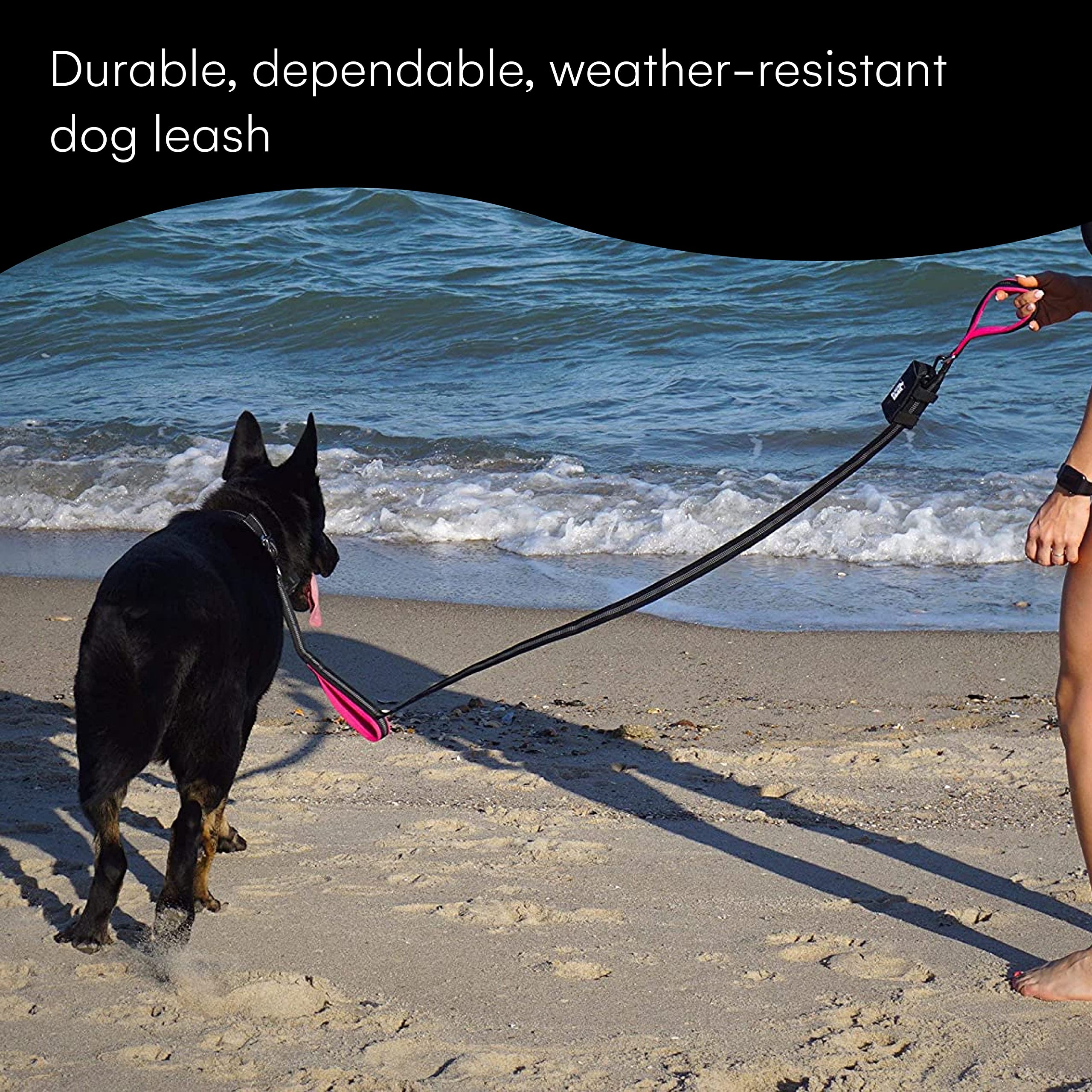 RhinoGrip Aqua: Double Handle Reflective Dog Leash -  by Handbags Specialist Headquarter | Available at Handbags Specialist Headquarter
