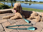 RhinoGrip Aqua: Double Handle Reflective Dog Leash -  by Handbags Specialist Headquarter | Available at Handbags Specialist Headquarter
