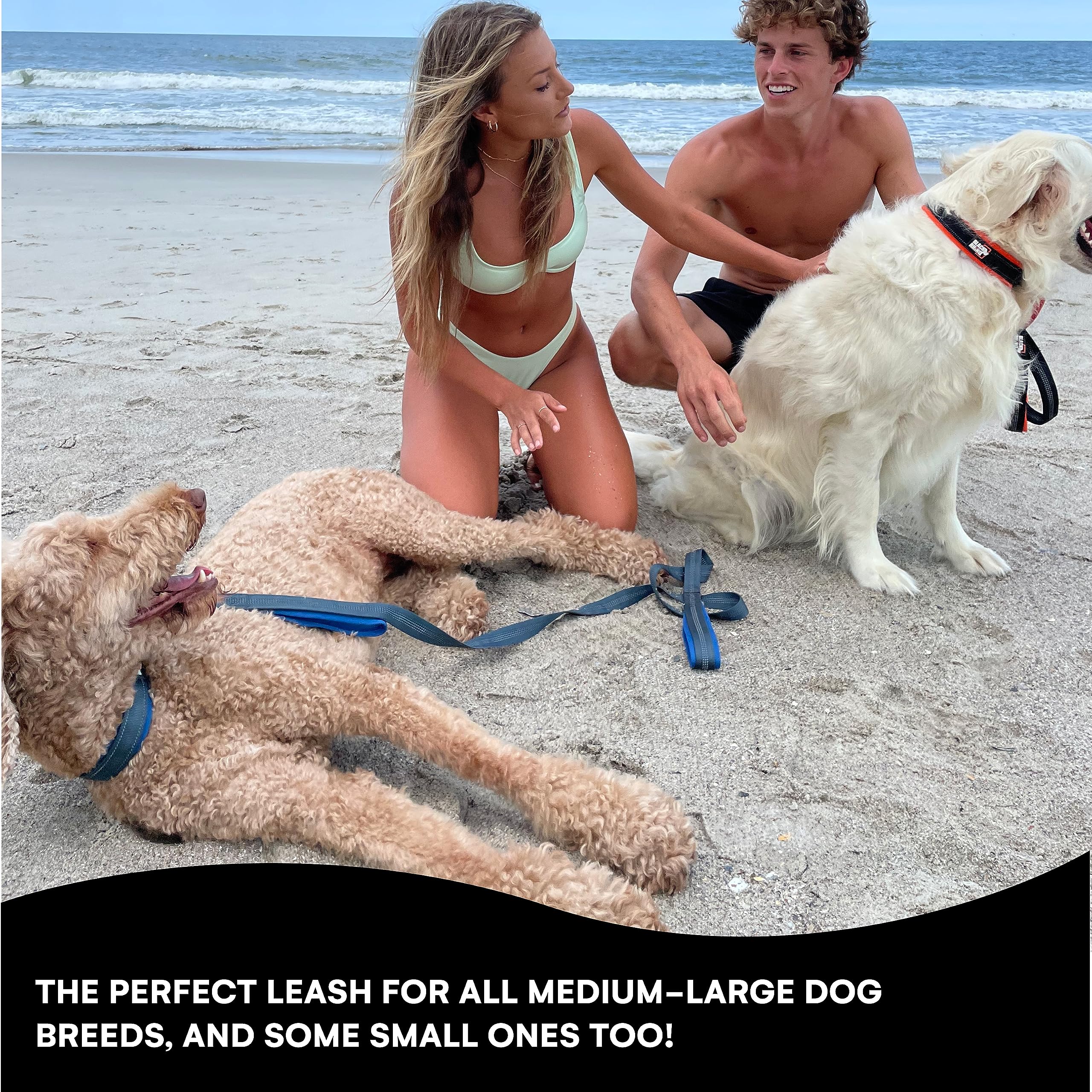 RhinoGrip Aqua: Double Handle Reflective Dog Leash -  by Handbags Specialist Headquarter | Available at Handbags Specialist Headquarter