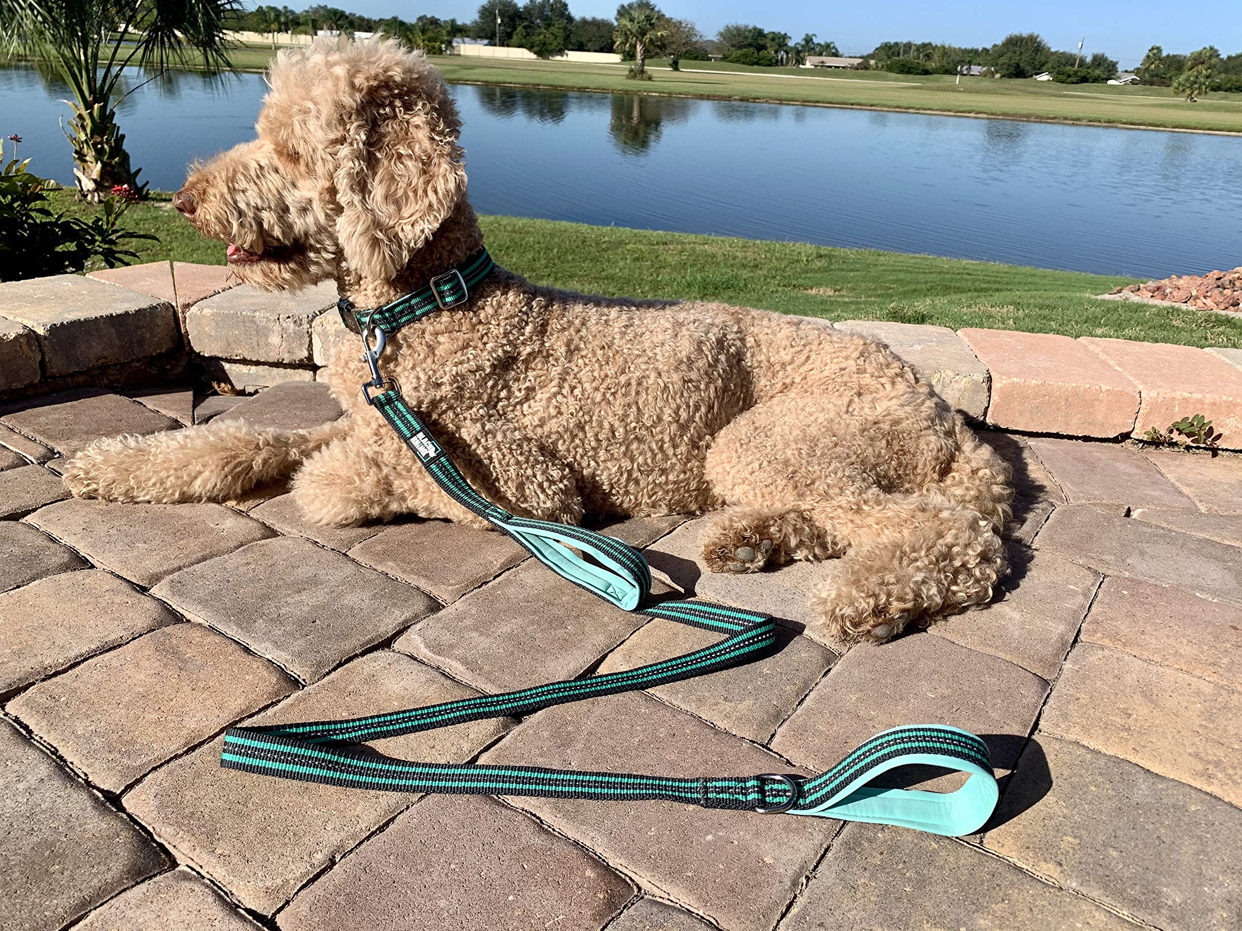 RhinoGrip Aqua: Double Handle Reflective Dog Leash -  by Handbags Specialist Headquarter | Available at Handbags Specialist Headquarter