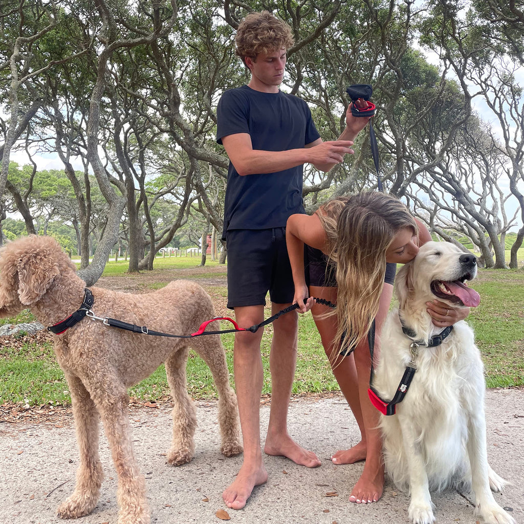 RhinoGrip Aqua: Double Handle Reflective Dog Leash -  by Handbags Specialist Headquarter | Available at Handbags Specialist Headquarter