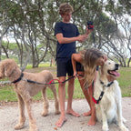 RhinoGrip Aqua: Double Handle Reflective Dog Leash -  by Handbags Specialist Headquarter | Available at Handbags Specialist Headquarter