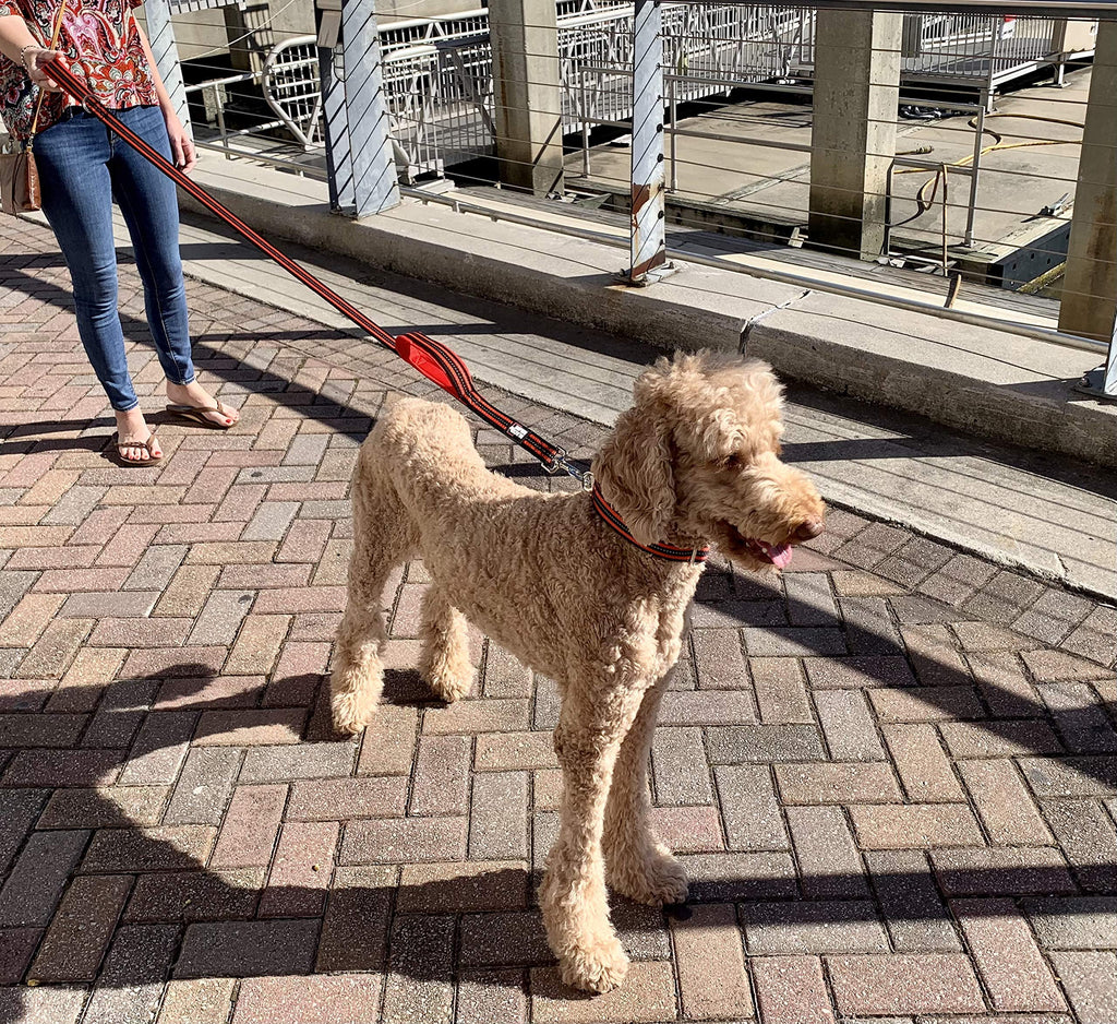 RhinoGrip Aqua: Double Handle Reflective Dog Leash -  by Handbags Specialist Headquarter | Available at Handbags Specialist Headquarter