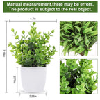 Rose Mini Potted Faux Plants - 2 Pack Decor - Decor by Handbags Specialist Headquarter | Available at Handbags Specialist Headquarter